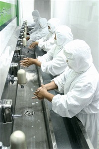 严格的食品生产流程控制：六道洗手消毒程序 